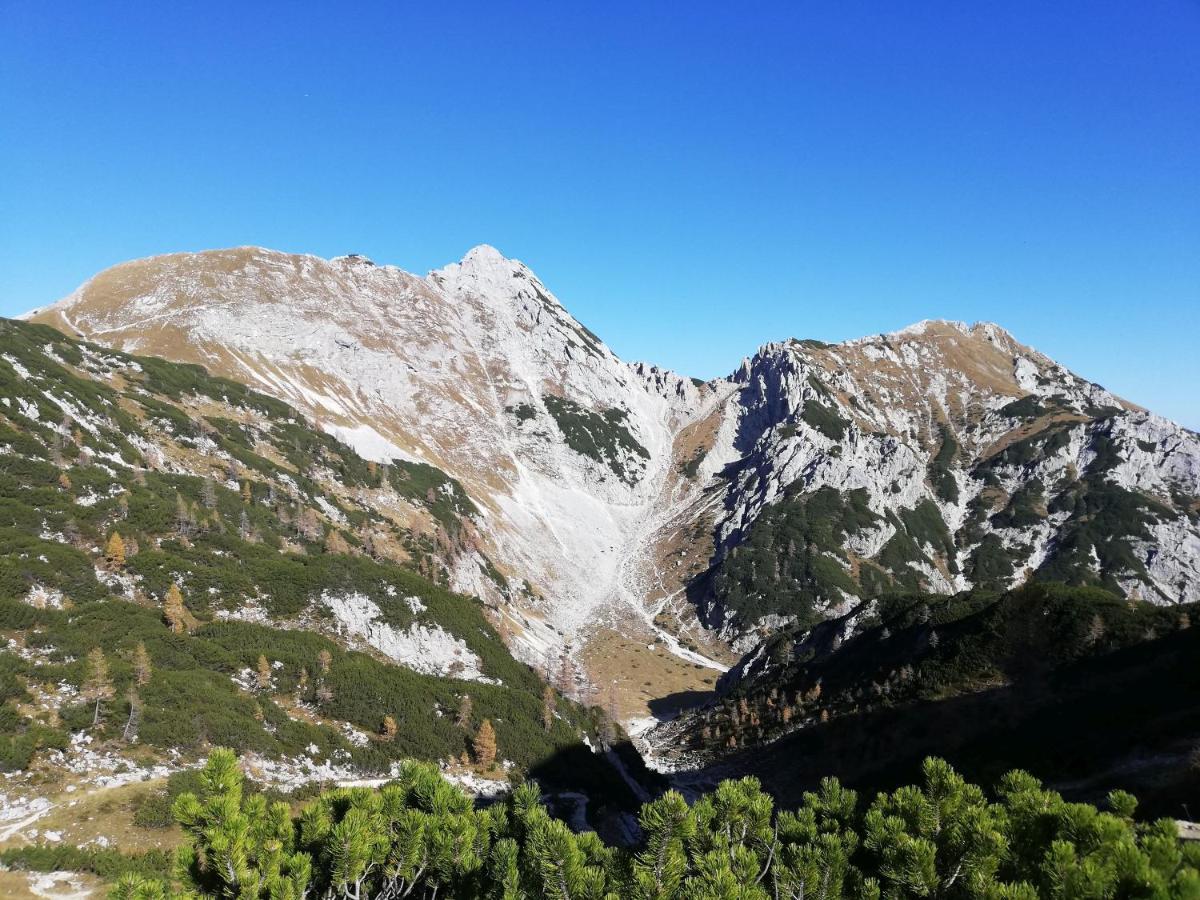 Brunarica Na Goreljeku Bohinj Exterior foto