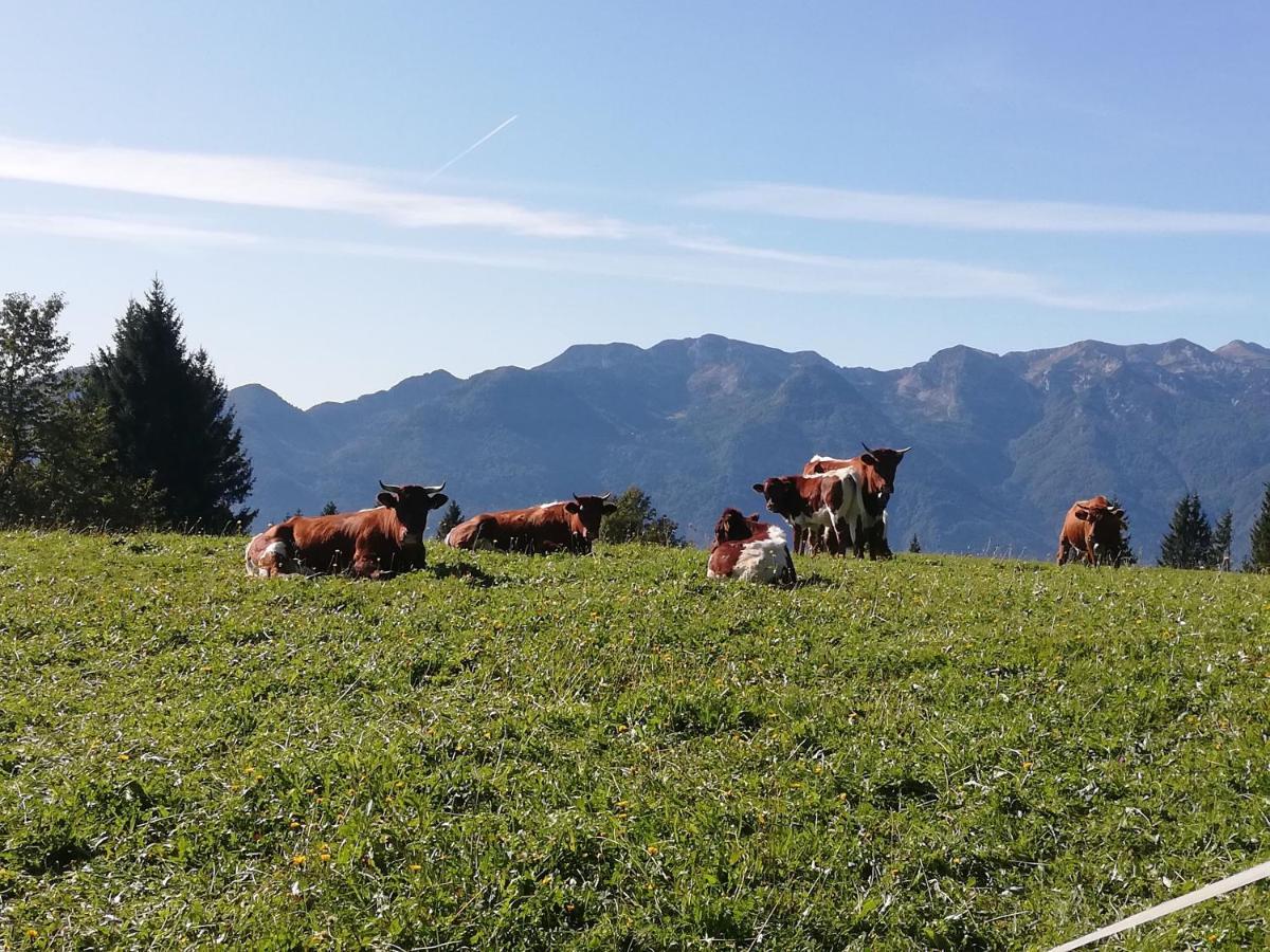 Brunarica Na Goreljeku Bohinj Exterior foto