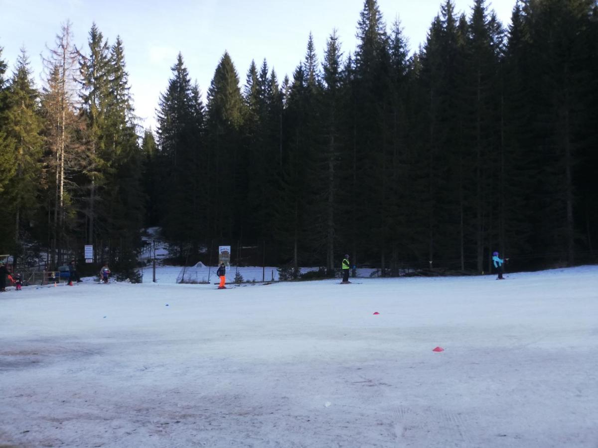 Brunarica Na Goreljeku Bohinj Exterior foto