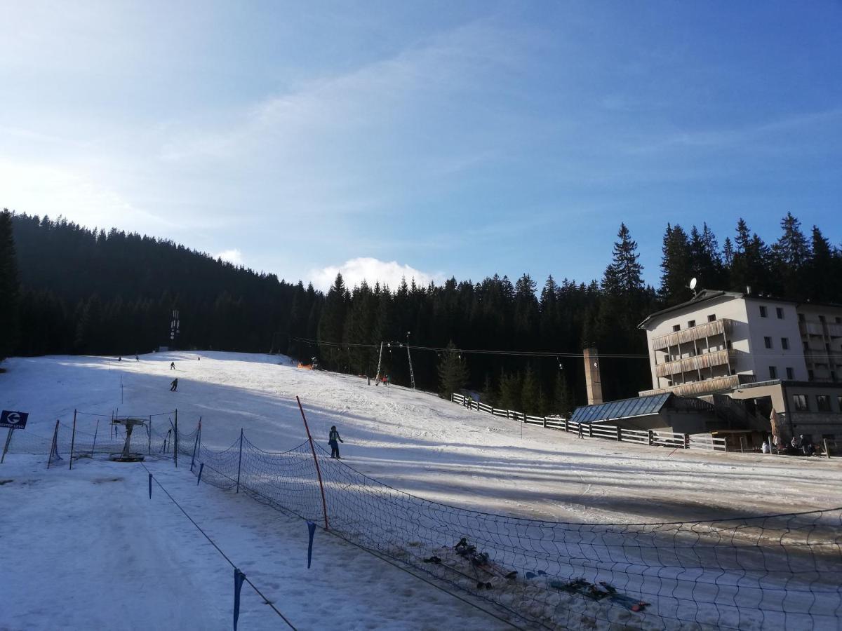 Brunarica Na Goreljeku Bohinj Exterior foto