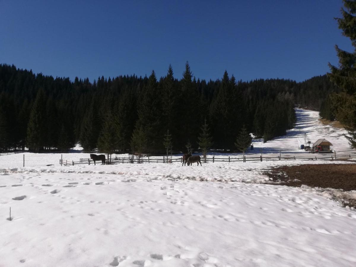 Brunarica Na Goreljeku Bohinj Exterior foto