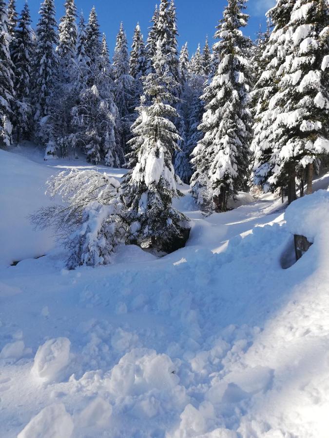 Brunarica Na Goreljeku Bohinj Exterior foto