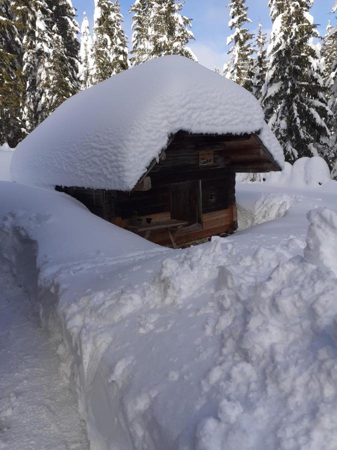 Brunarica Na Goreljeku Bohinj Exterior foto