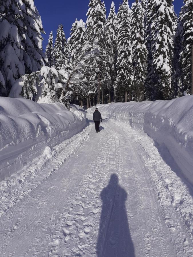 Brunarica Na Goreljeku Bohinj Exterior foto