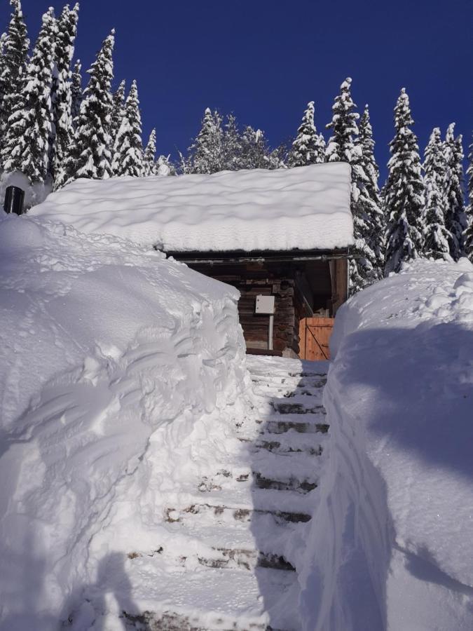 Brunarica Na Goreljeku Bohinj Exterior foto