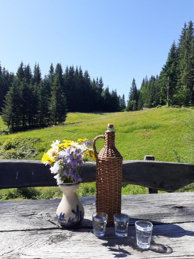 Brunarica Na Goreljeku Bohinj Exterior foto