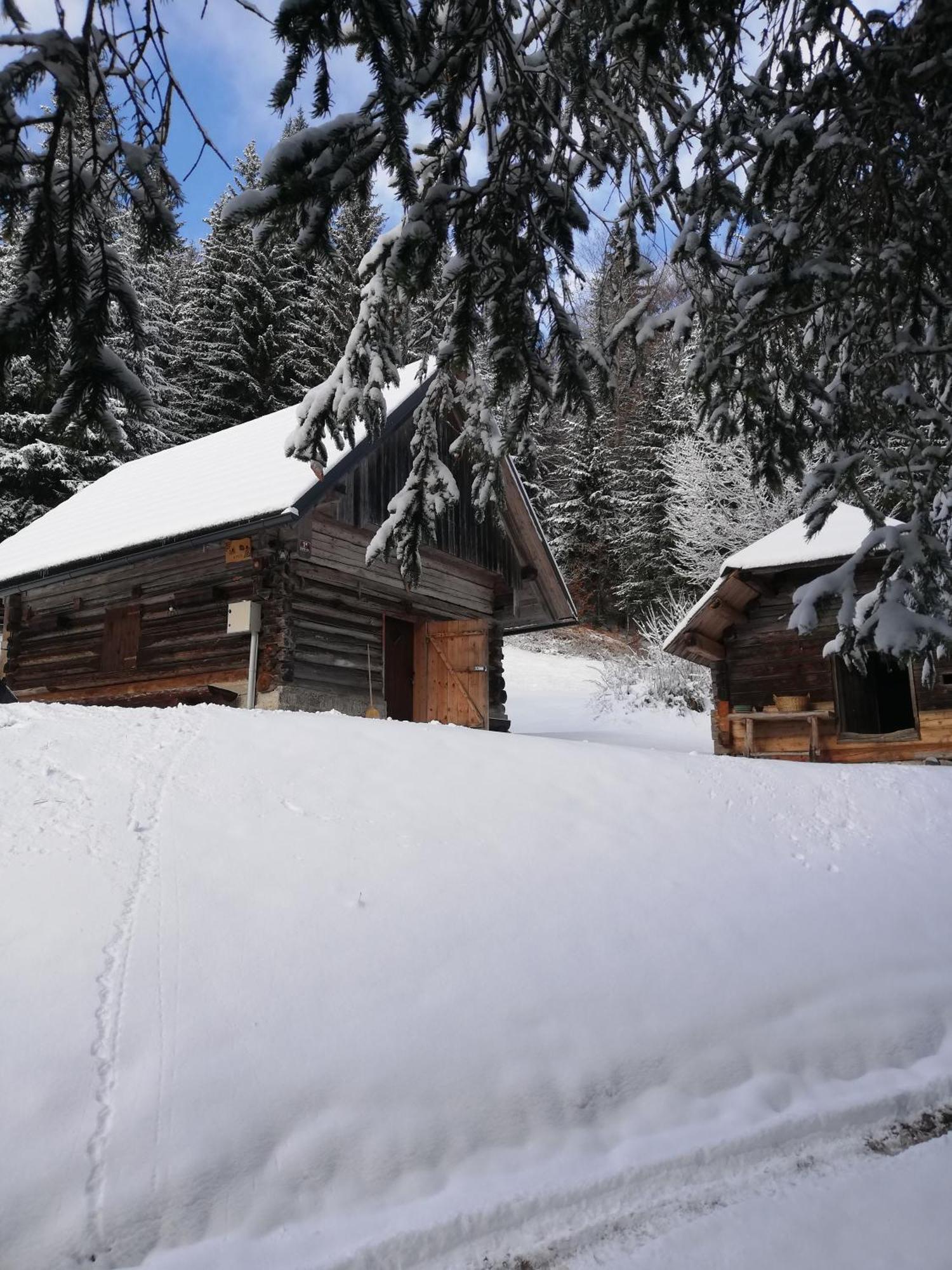 Brunarica Na Goreljeku Bohinj Exterior foto