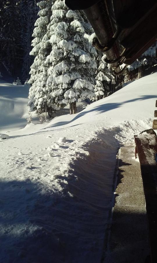 Brunarica Na Goreljeku Bohinj Exterior foto